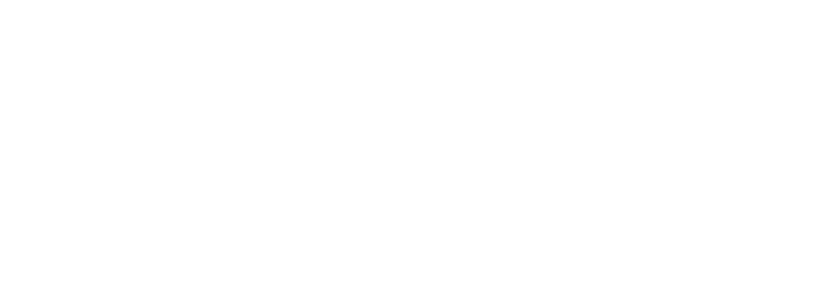 Delfa Services