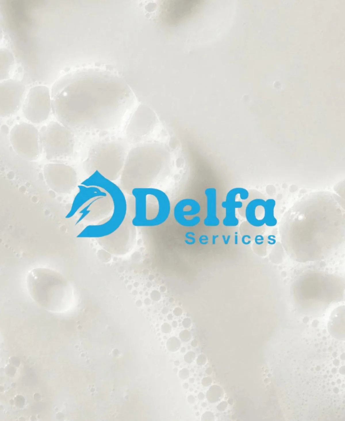 Service Delfa avec mousse